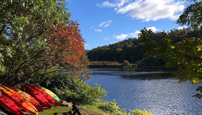 Wilgus State Park, Vermont, USA